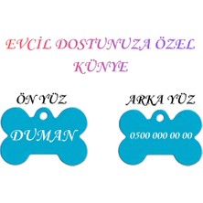 Feyza Design Özel Tasarımlı Çelik Köpek ve Kedi Isimliği, Renkli ve Şık Tasarım