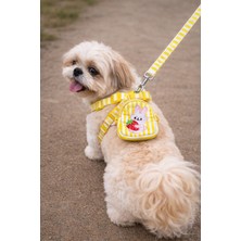 Feyza Design Renkli Tavşancık Gövde Tasması ve Gezdirme Kayışı Seti