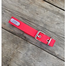 Feyza Design Yumuşak ve Dayanıklı Köpek Tasması, Konforlu Kullanım Için Ideal Seçenek