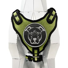 Feyza Design Haki Renkli Köpek Göğüs Tasması, Güçlü ve Rahat Kullanım Için