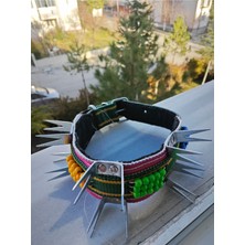 Feyza Design Boncuklu Çivili Köpek Tasması ve Palaska 80 Cm, Şık ve Dayanıklı Tasarım