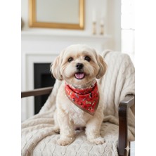 Feyza Design Renkli Köpek Motifli Bağlamalı Üçgen Fular Bandana, Şık ve Sevimli Aksesuar