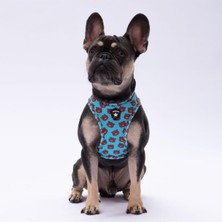 Feyza Design Hafif ve Konforlu Air-Mesh Göğüs Tasması, Evcil Dostlar Için Rahat Seçenek