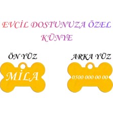 Feyza Design Özel Çelik Köpek ve Kedi Isimliği, Renkli ve Şık Tasarım