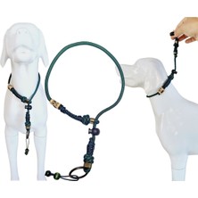 Feyza Design Dayanıklı Köpek Eğitim Tasma ve Tasma Çeşitleri, Güvenli Kullanım