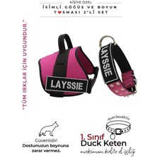 Feyza Design Kişiye Özel K9 Köpek Tasması ve Göğüs Boyun Seti, Şık ve Rahat Kullanım