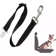 Feyza Design Yavru ve Evcil Hayvanlar Için Araç Emniyet Kemeri Tasması, Seyahat Konforu