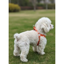 Feyza Design Ayarlanabilir Köpek Göğüs Tasması, Küçük ve Orta Irk, Konforlu Kolon Kordon