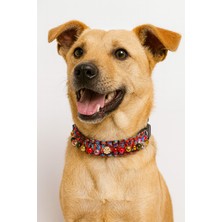 Feyza Design El Yapımı Paracord Köpek Tasması, Ayarlanabilir 40-50 Cm, Kırmızı-Yeşil-Beyaz-Gold