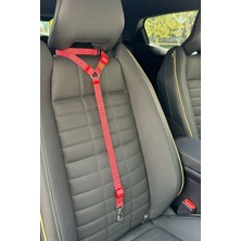 Feyza Design Sağlam ve Güvenli Kedi Köpek Araç Seyahat Tasması, Konforlu Kullanım