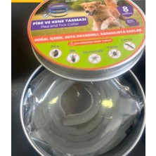 Feyza Design Doğal ve Rahat Köpek Boyun Tasması, Koruma ve Şıklık Sağlar