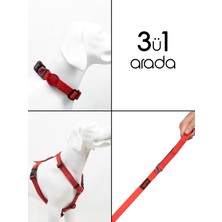 Feyza Design Prism H-Tipi Göğüs ve Boyun Tasması ile Sevk Kayışı Seti 3'ü Birlikte