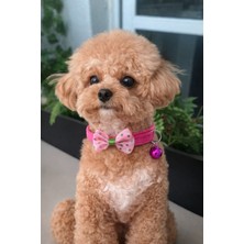 Feyza Design Ayarlanabilir Fiyonklu Köpek ve Kedi Tasması, Şık ve Rahat Kullanım