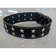 Feyza Design Sağlam ve Şık Deri Köpek Tasması, Rahat Kullanım Için Ideal Seçenek