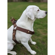 Feyza Design Ayarlanabilir Köpek Göğüs Tasması, Farklı Irk ve Büyüklükler Için Klasik Koyu Kahverengi