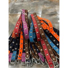 Feyza Design Şık Metal Detaylı Deri Kedi ve Köpek Tasma Seti