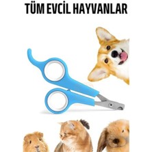 Feyza Design Evcil Hayvanlar Için Rahat ve Pratik Tırnak Makası, Güvenli Kullanım Sağlar