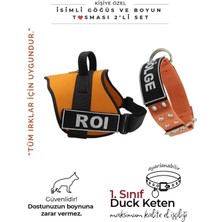Feyza Design Kişiye Özel K9 Köpek Tasma Seti, Göğüs ve Boyun Tasmasıyle Konforlu Kullanım
