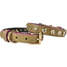 Feyza Design Köpek Tasması, Orta Boy, Deri, 45 Cm, Şık ve Rahat Tasarım