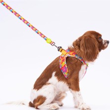 Feyza Design Renkli Kedi ve Köpek Tasma Seti ile Güzel Gezintiler