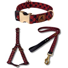 Feyza Design Renkli ve Şık Köpek Tasma Seti | Konforlu ve Güvenli Kullanım