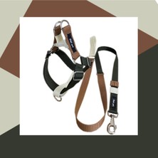 Feyza Design Şık ve Rahat Retro Iki Ayak Tasma Seti, Küçük Boy, Güvenle Kullanın