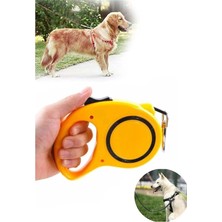 Feyza Design 3 Metre Otomatik Köpek Gezdirme Tasma ve Yürütme Kayışı Seti