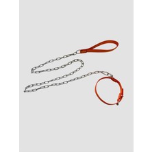 Feyza Design Orta Boy Zincirli Boyundan Bağlamalı Köpek Tasması, Güvenli ve Şık Kullanım