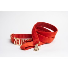 Feyza Design Kişiye Özel Köpek Tasma ve Gezdirme Kayışı Seti, Konforlu ve Şık Tasarım