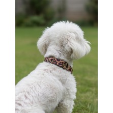 Feyza Design Ayarlanabilir Leopar Desenli Köpek Boyun Tasması 2,5 cm Genişlik