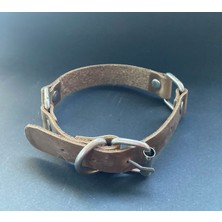 Feyza Design El Yapımı Deri Köpek Tasması, Ayarlanabilir ve Şık Tasarım