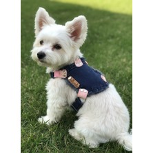 Feyza Design Minik Irk Köpek Göğüs Tasması, Ayarlanabilir Kot Lacivert