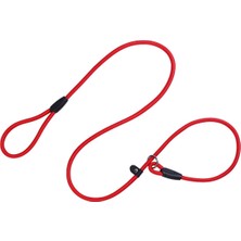 Feyza Design Orta Irk Köpek Eğitim Tasması, 1 Cm, Kırmızı, Dayanıklı ve Rahat Kullanım