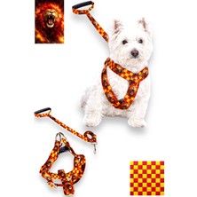 Feyza Design Köpek Göğüs Tasması ve Gezdirme Kayışı Seti, Konfor ve Şıklık Sunar