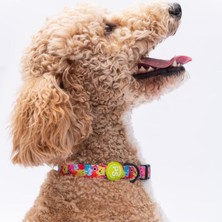 Feyza Design Canavar Desenli Köpek Boyun Tasması, Ayarlanabilir, M Boy (32-48CM)