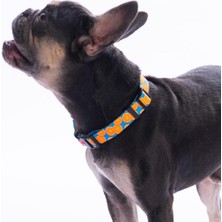 Feyza Design Renkli Narenciye Desenli Ayarlanabilir Köpek Boyun Tasması