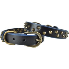 Feyza Design Orta Boy Deri Köpek Tasması, 45 Cm, Şık ve Dayanıklı Tasarım