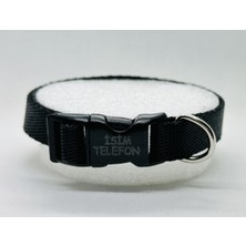 Feyza Design Sağlam Köpek Tasması, Kişiye Özel Telefon Yazılı, Güçlü ve Şık Tasarım