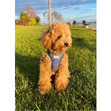 Feyza Design Konforlu Köpek Göğüs Tasması, Soft Vest Yelek Model, Rahat ve Dayanıklı