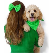 Feyza Design Şık Kedi ve Küçük Irk Köpek Tasma ve Fular Takımı Seti