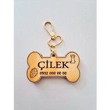 Feyza Design Sevimli Dostlar Için Isme Özel Tasma ve Künye 8x4.5 cm