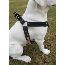 Feyza Design Ayarlanabilir Süet Deri Köpek Göğüs Tasması, Orta ve Büyük Irk Için Siyah
