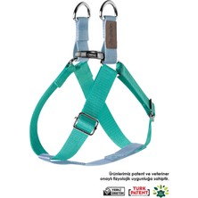 Feyza Design Ayarlanabilir Sağlam Köpek Göğüs Tasması, Rahat ve Güvenli Kullanım