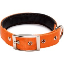 Feyza Design Küçük Irk ve Yavru Köpekler Için Ayarlanabilir Boyun Tasması