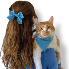 Feyza Design Şık Kedi ve Küçük Irk Köpek Tasması ve Takım Seti