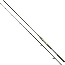 Captain 1465 Assai Spin 290CM 2 Parça Shore Jig Kamışı 30-125GR Atar