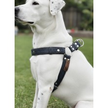 Feyza Design Ayarlanabilir Köpek Göğüs Tasması, Kot Gri, Her Irk Için Rahat ve Şık