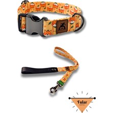 Feyza Design Şiba Köpek Boyun Tasması ve Gezdirme Seti, Hediye Fular ile Keyifli Yürüyüş