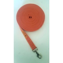 Feyza Design Dayanıklı Köpek Kızdırma ve Sevk Kayışı, 5m, 2.5cm Genişlik