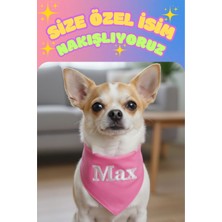 Feyza Design Kişiye Özel Köpek Bandanası, Küçük Irk Için Isim Yazılı, Ayarlanabilir, Şık